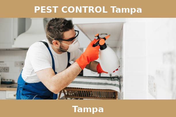 PEST CONTROL Tampa